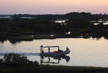 Cedar Key Clammers on their way out at dawn as seen from Tranquility.
