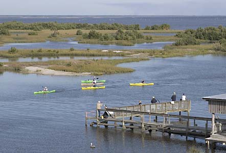 Watch the kayaks and fishermen from Tranquility in Cedar Key.